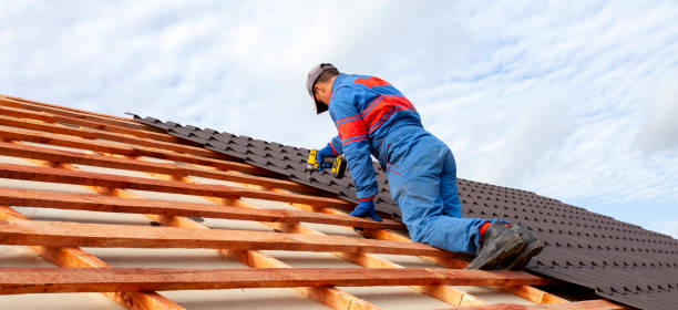 Best Metal Roofing Installation  in Mahnomen, MN